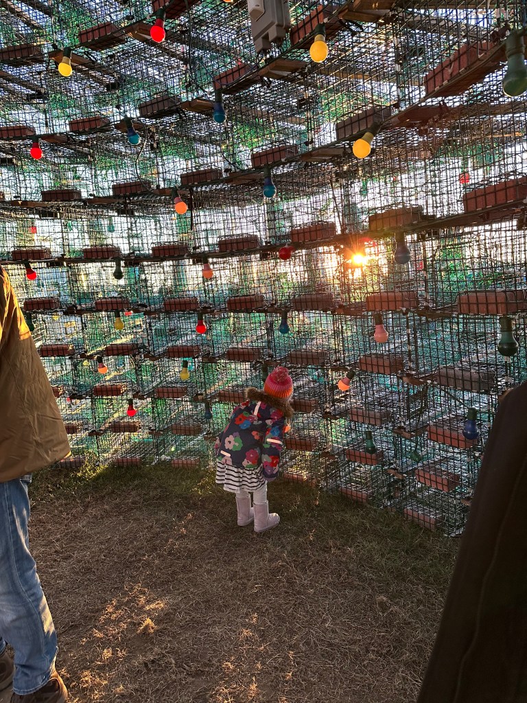 A child peers out from the inside of the christmas tree structure made from lobster traps